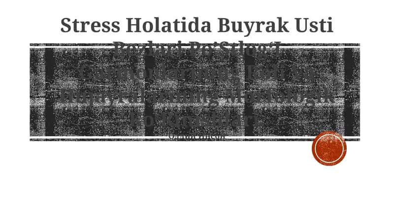 Stress Holatida Buyrak Usti Bezlari Po’StlogʻI Garmonlarining Roli Va Hujayralarining Morfologik KoʻRinishlari 1