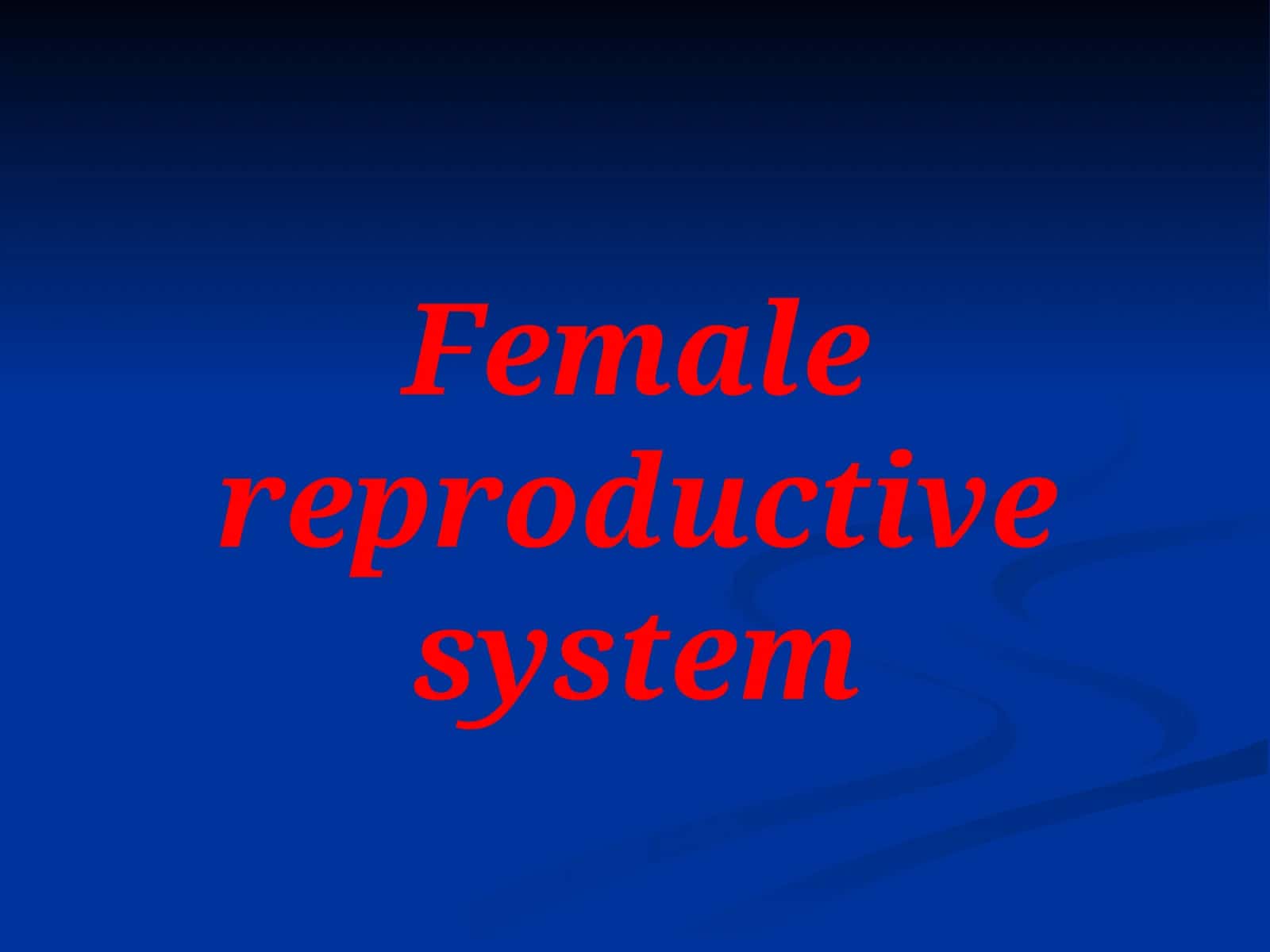 Female reproductive system 1