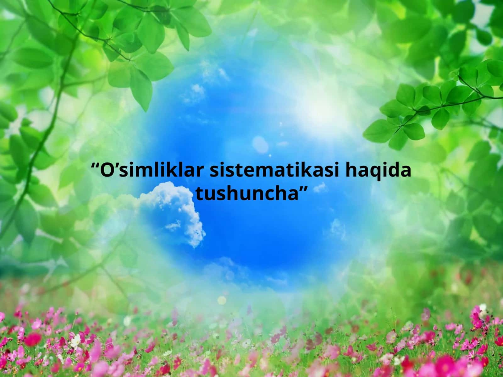 O’simliklar sistematikasi haqida tushuncha 1