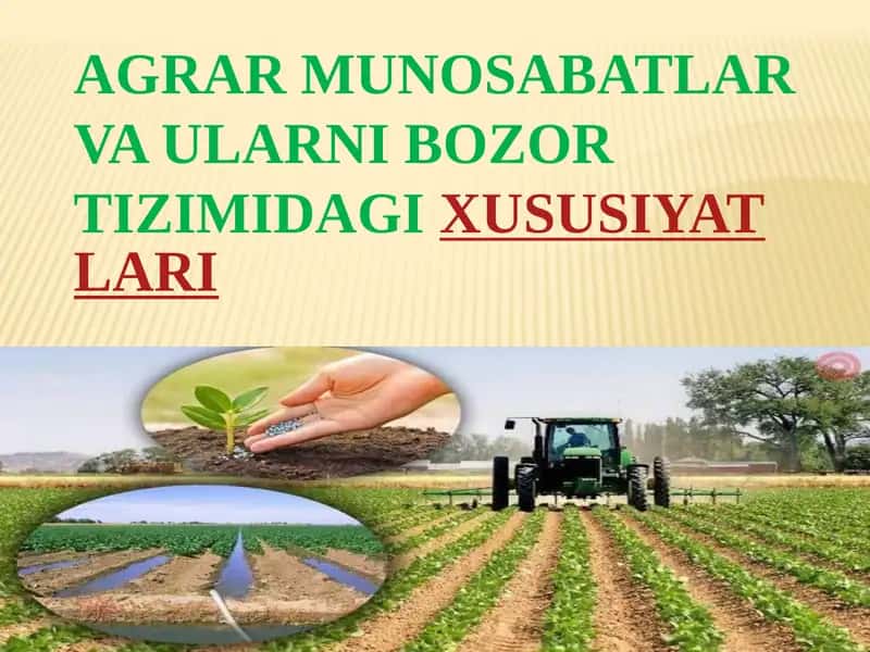 AGRAR MUNOSABATLAR VA ULARNI BOZOR TIZIMIDAGIXUSUSIYATLARI 1