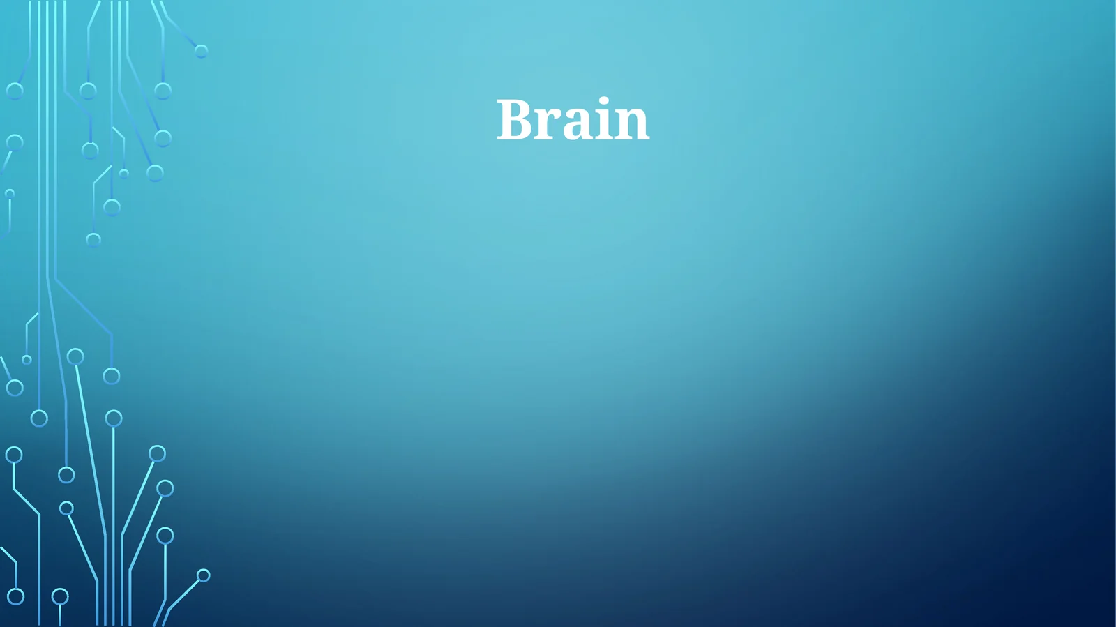 Brain 1