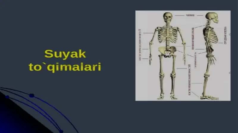 Sayak tòqimalari 1