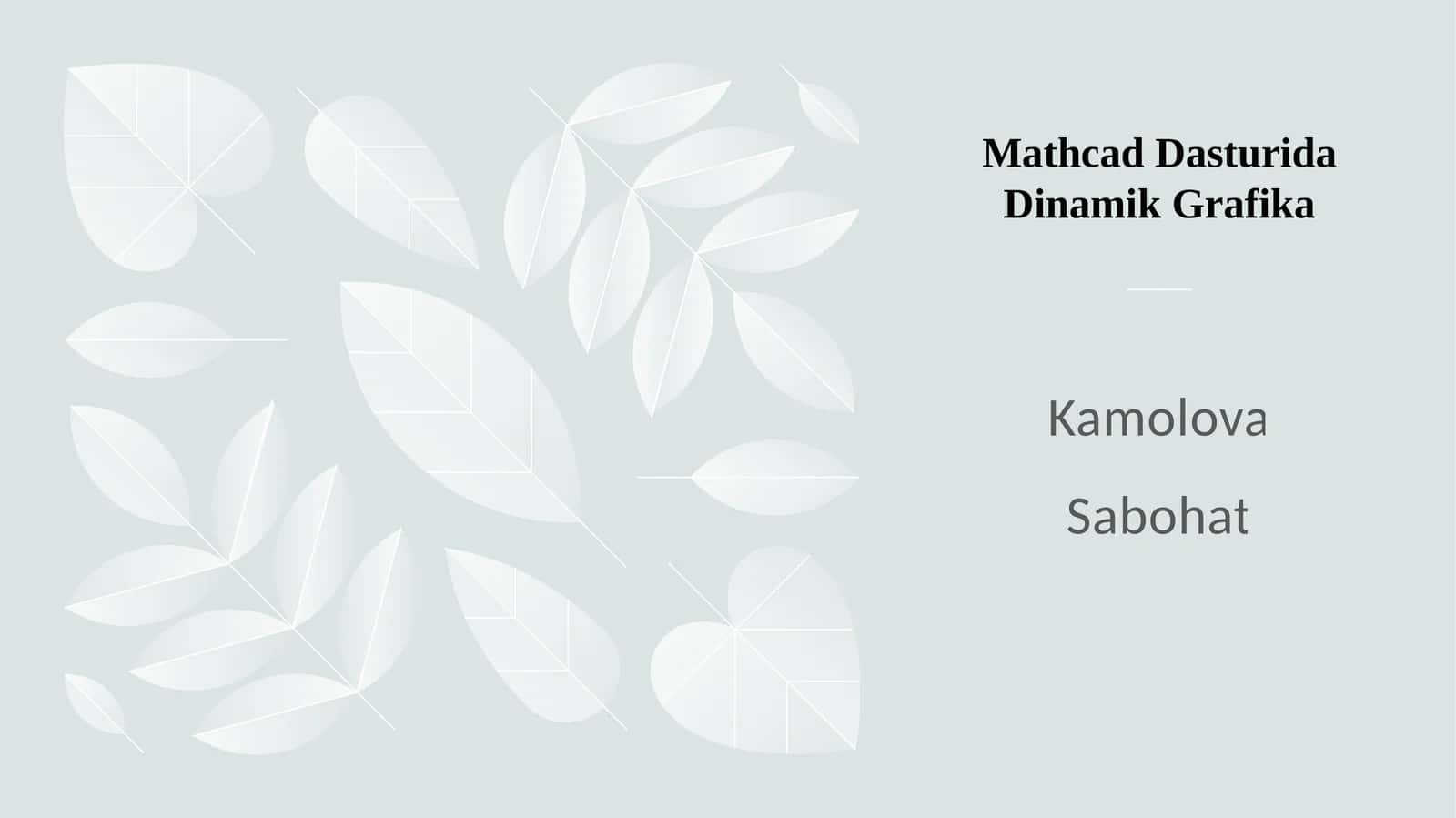 Mathcad Dasturida Dinamik Grafika 1