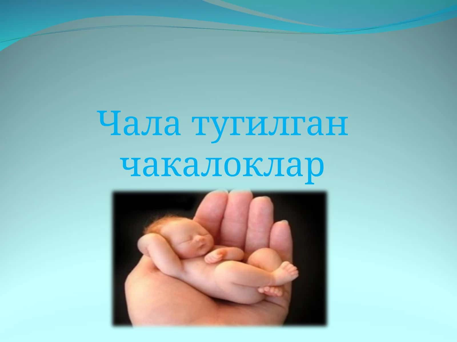 Чала тугилган чакалоклар 1
