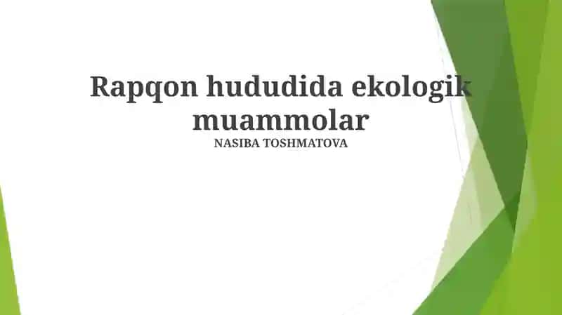 Rapqon hududida ekologik muammolar