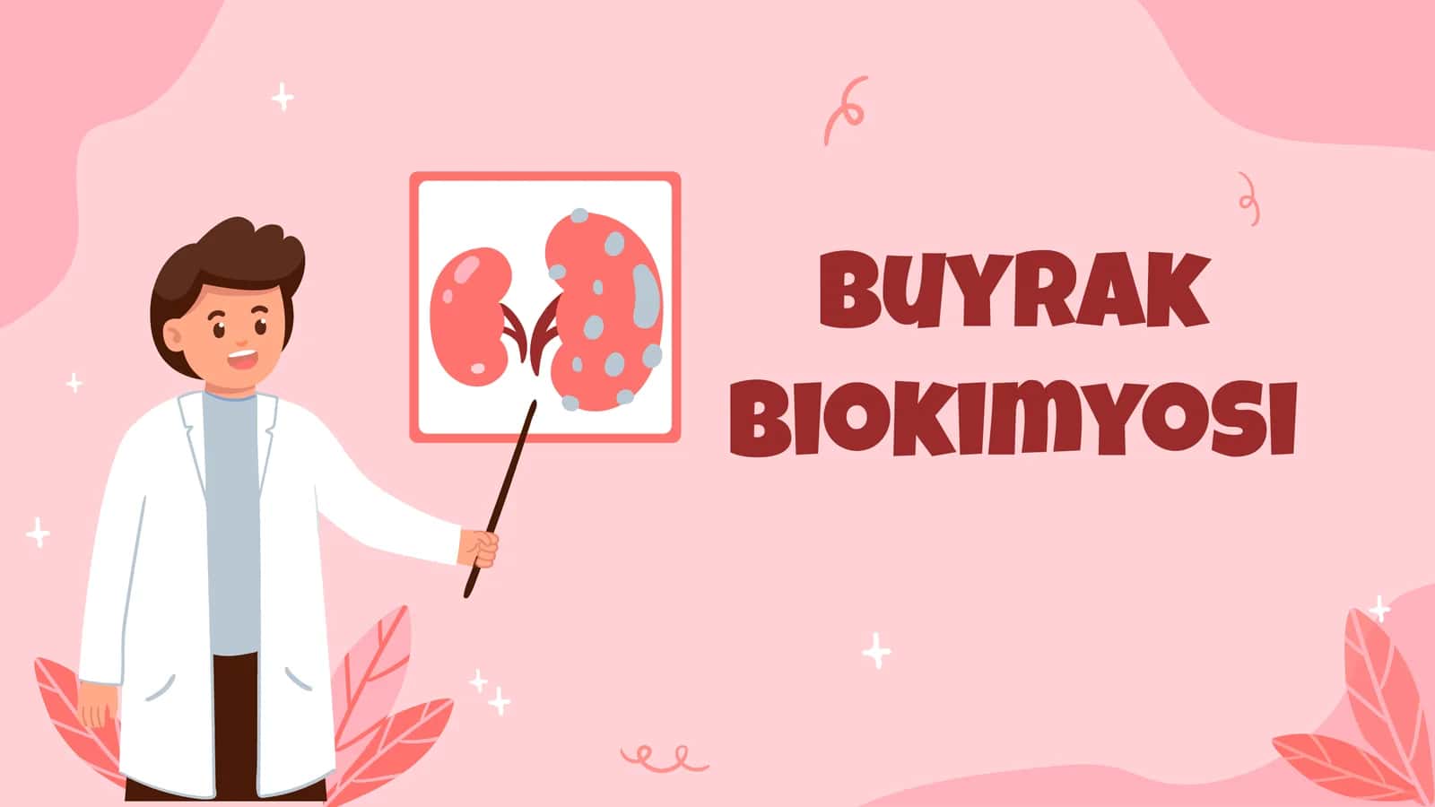 Buyrak biokimyosi (siydik hosil boʻlishi) 1