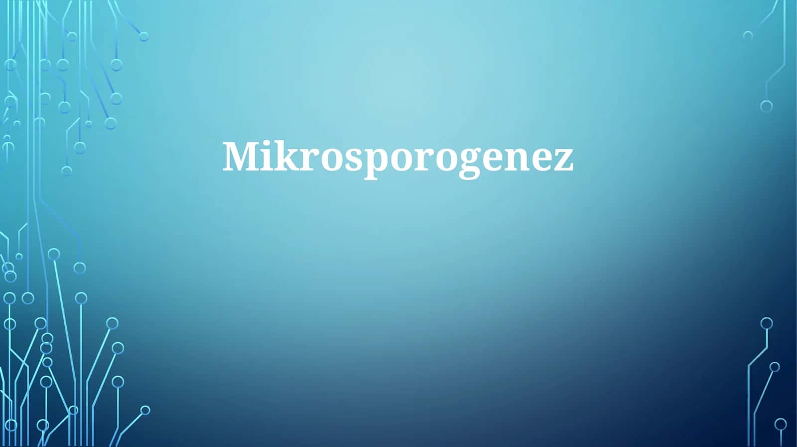 Mikrosporogenez 1