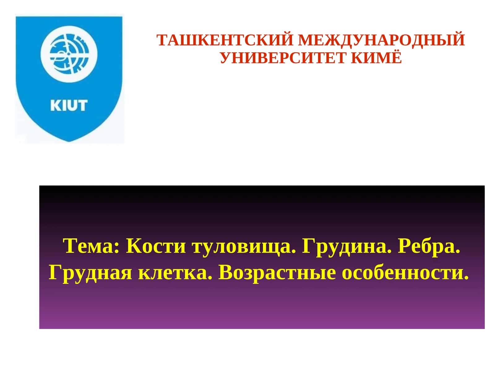 Скелет грудной клетки 1