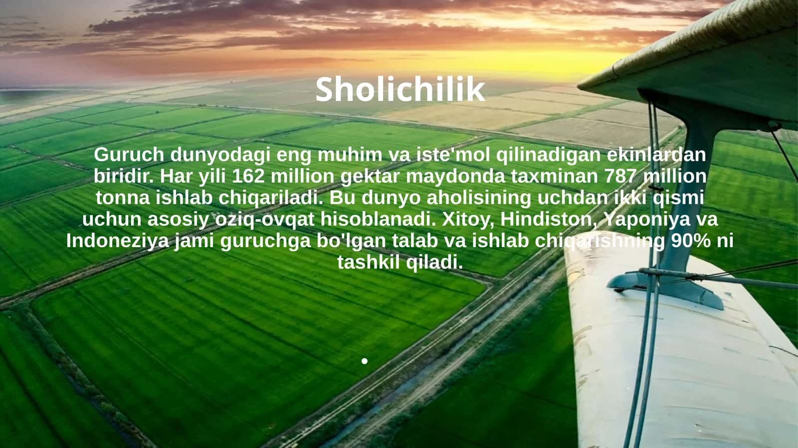 Agro tizimi 1
