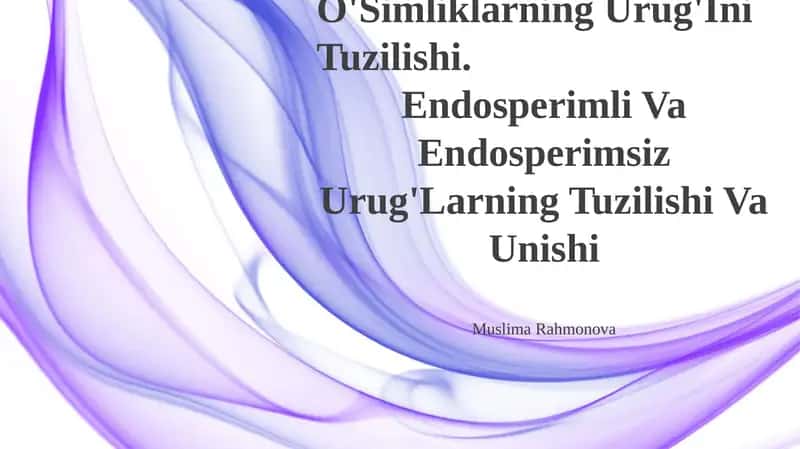Bir Va Ikki Urug'Pallali O'Simliklarning Urug'Ini Tuzilishi 1