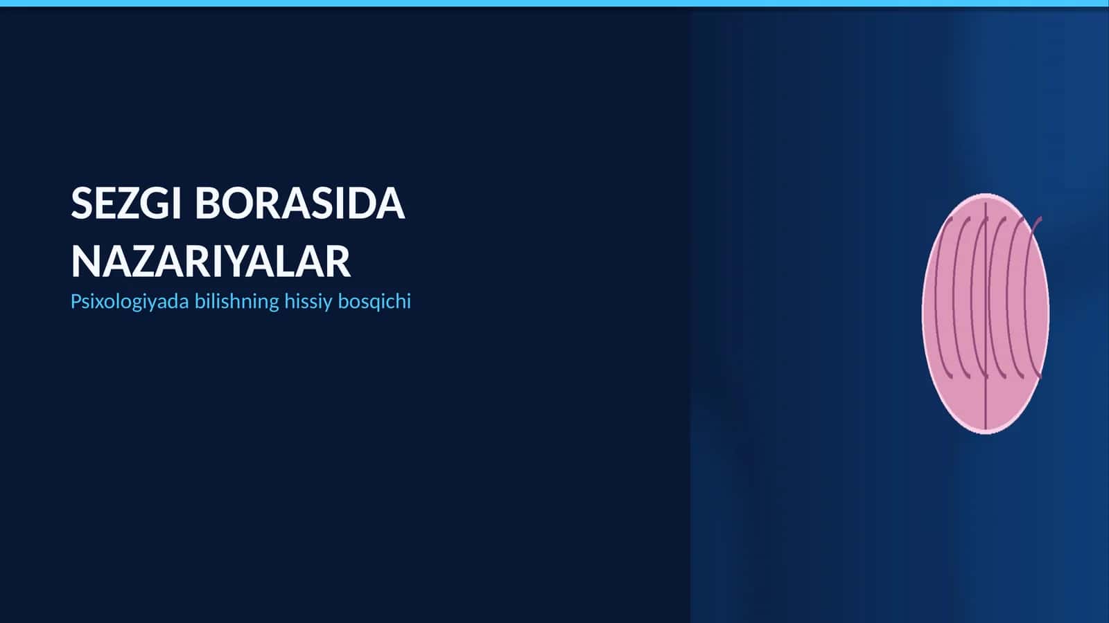 Sezgi borasida nazariyalar 1