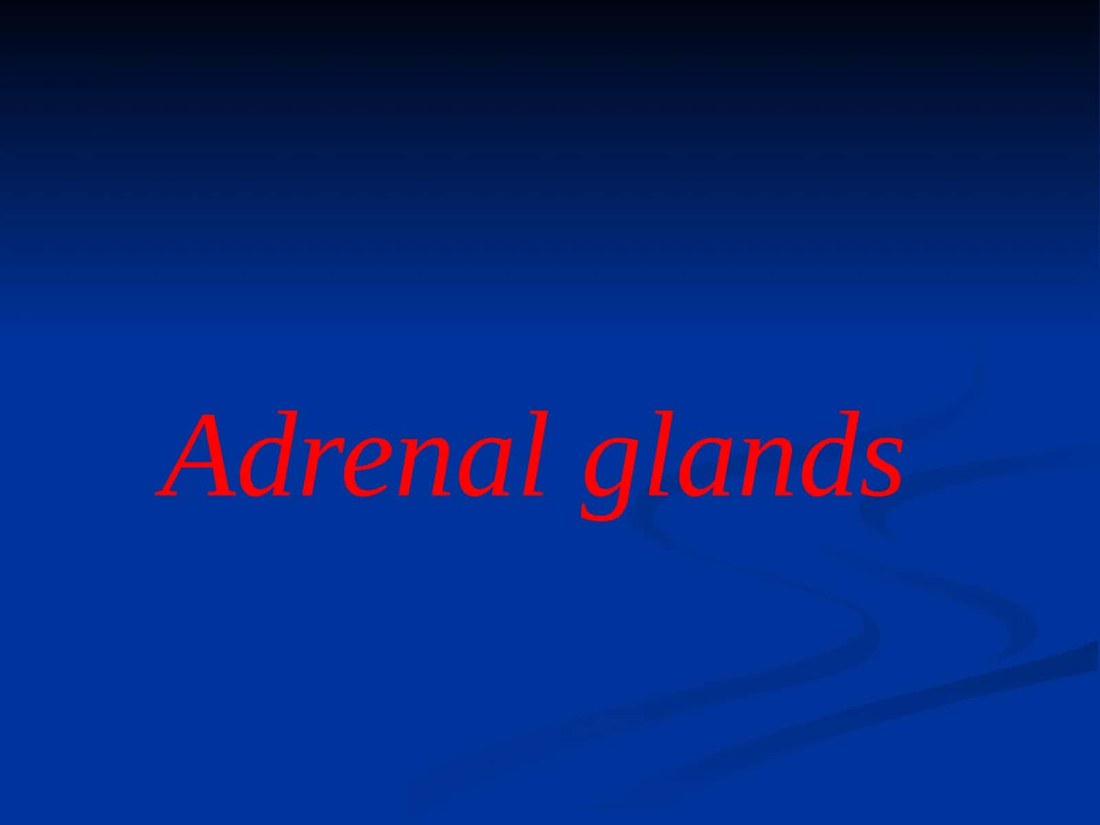 Adrenal glands 1