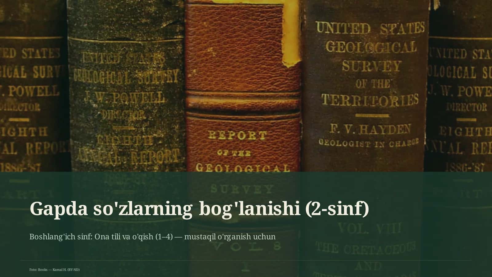 Gapda so'zlarning bog'lanishi (2-sinf) 3