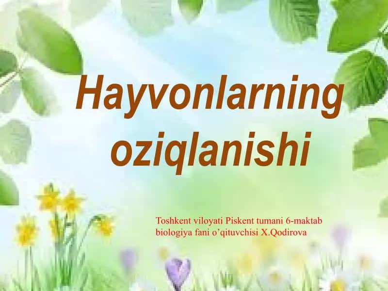 Hayvonlarning oziqlanishi 1