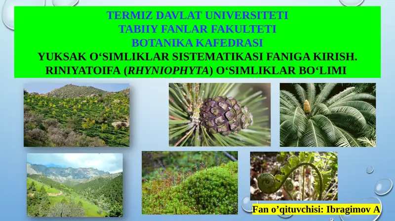 YUKSAK O‘SIMLIKLAR SISTEMATIKASI FANIGA KIRISH.RINIYATOIFA(RHYNIOPHYTA)O‘SIMLIKLAR BO‘LIMI 1