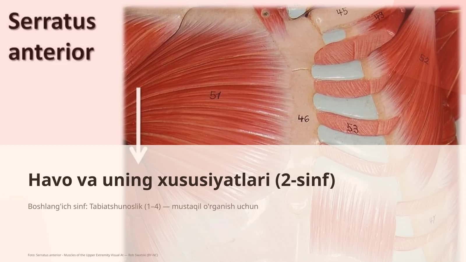 Havo va uning xususiyatlari (2-sinf) 1