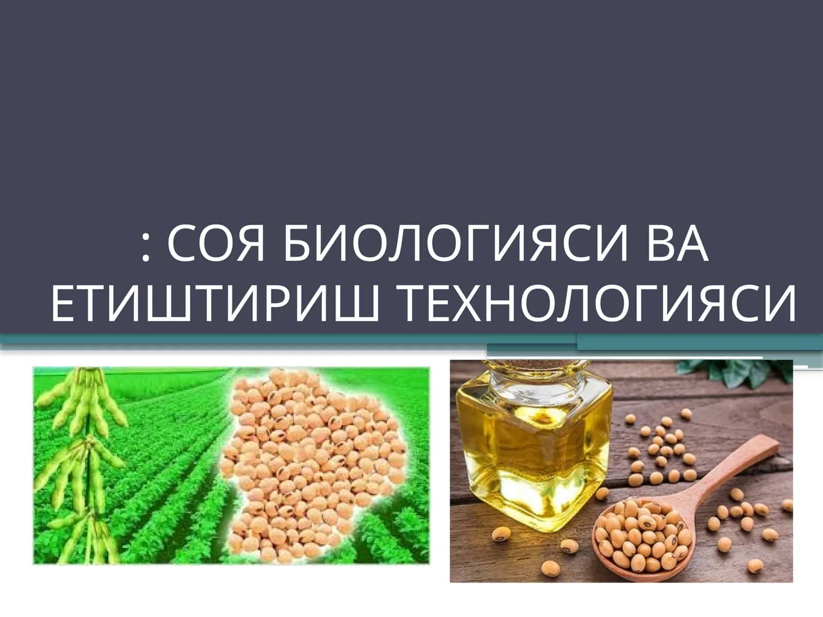 Соя биологияси ва етиштириш технологияси 1