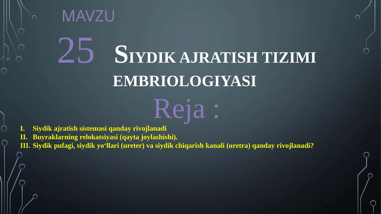 25SIYDIK AJRATISH TIZIMI EMBRIOLOGIYASI 1