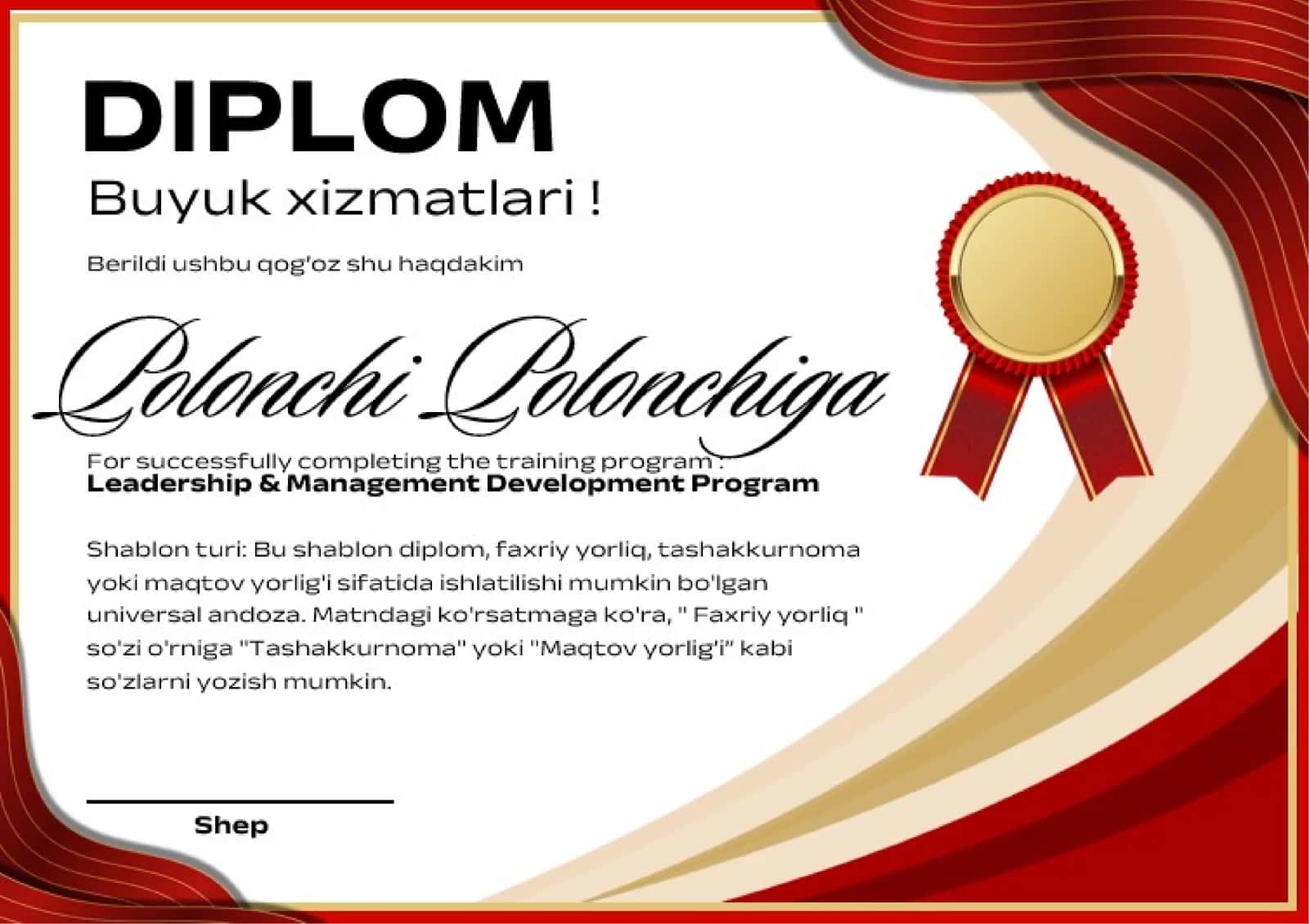 DIPLOM 1