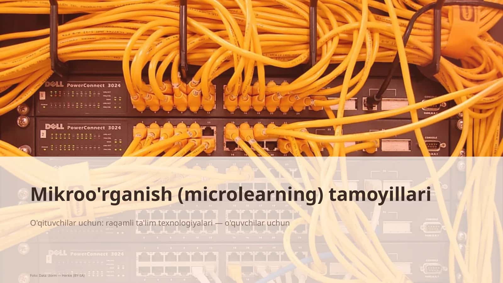Mikroo'rganish (microlearning) tamoyillari 1