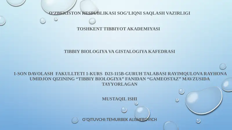 GAMEOSTAZ 1