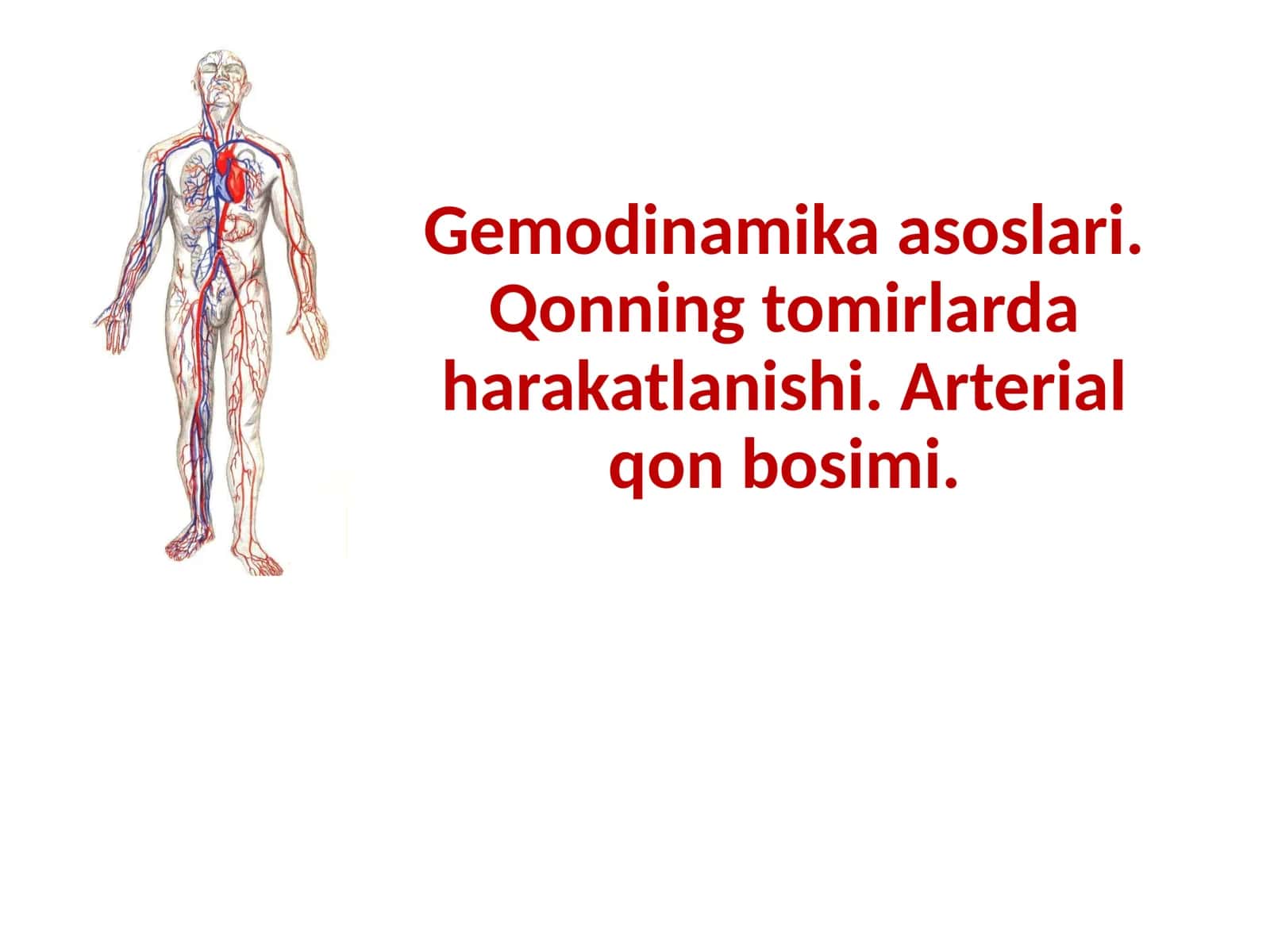 Gemodinamika asoslari 1