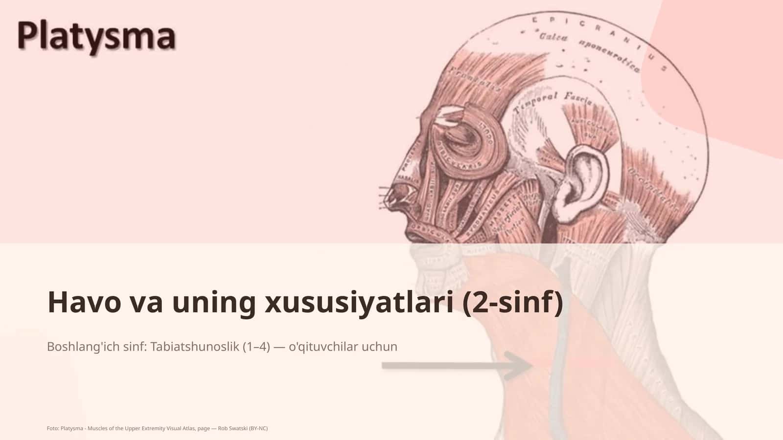 Havo va uning xususiyatlari (2-sinf) 4