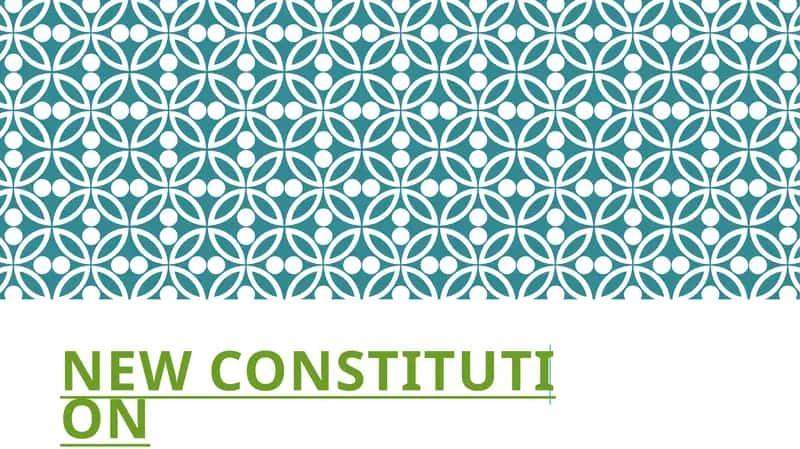 New constitution 1