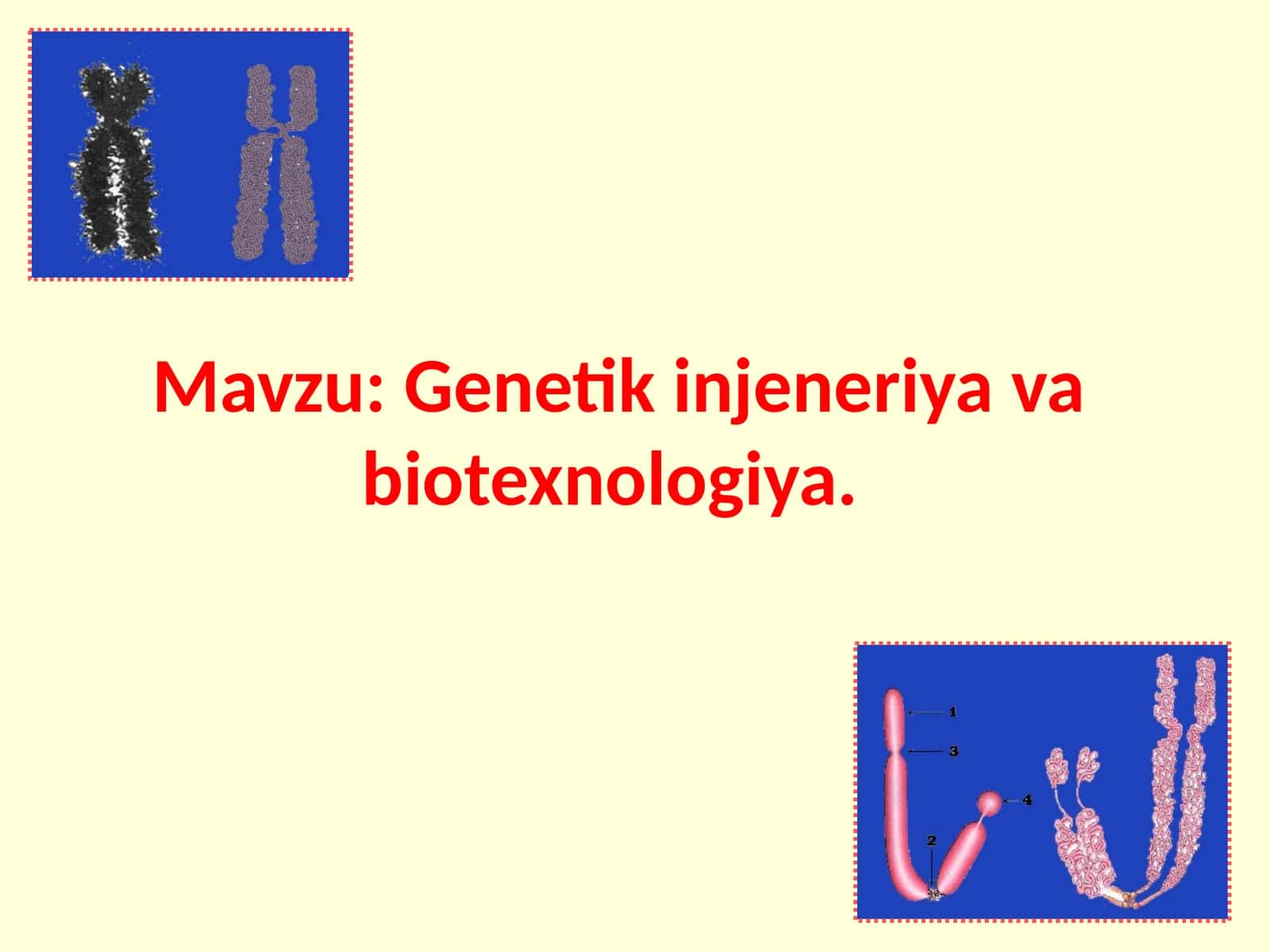 Genetika, Yengilbiyo, Gen muhandisligi 1