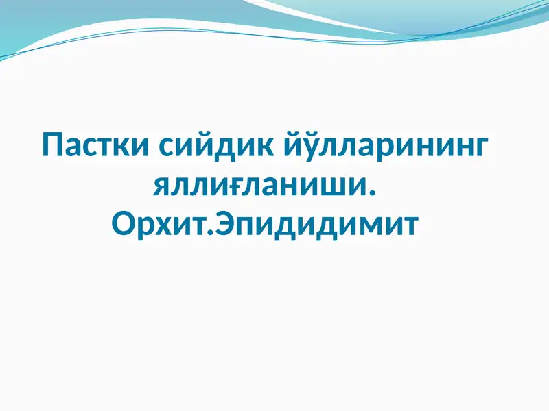 Орхит 1
