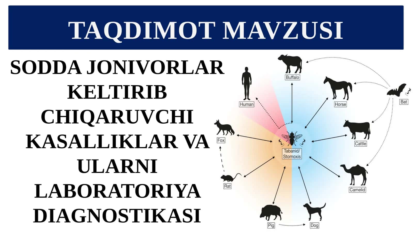 SODDA JONIVORLAR KELTIRIB CHIQARUVCHI KASALLIKLAR VA ULARNI LABORATORIYA DIAGNOSTIKASI 1