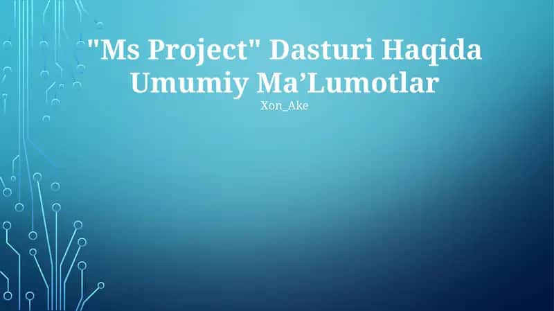 Ms Project 1
