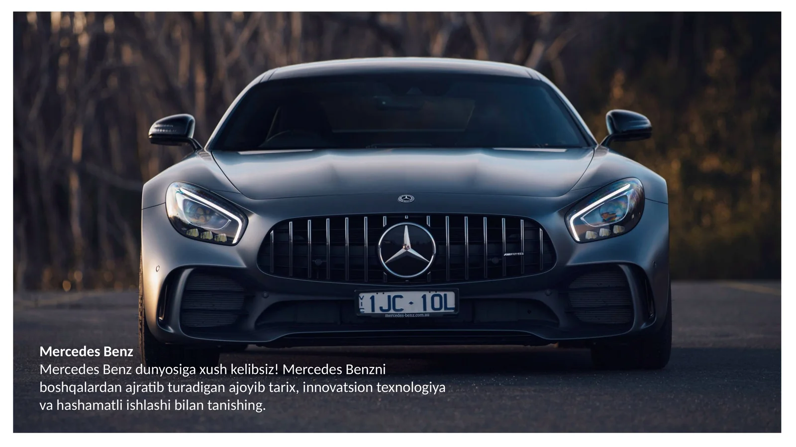Mersedes Benz 1