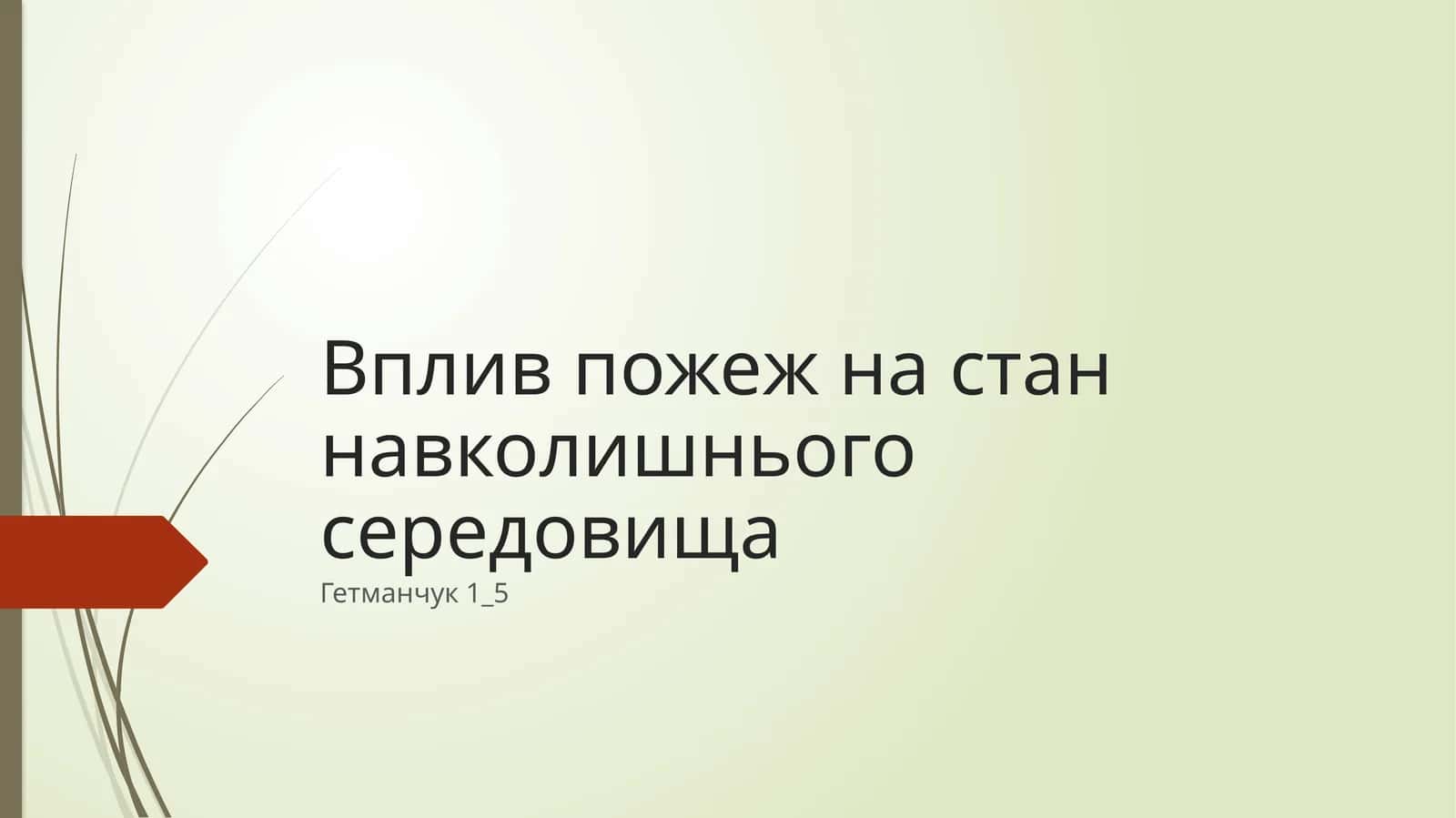 Вплив пожеж на стан навколишнього середовища 1
