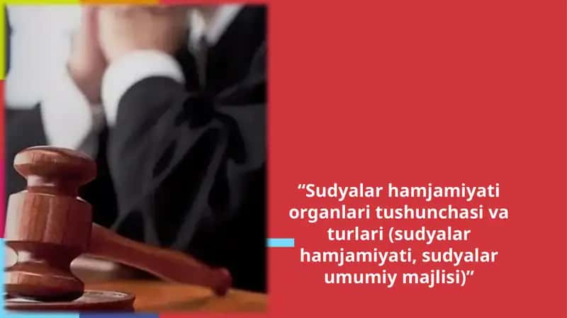 Sudyalar hamjamiyati organlari tushunchasi va turatlari 1