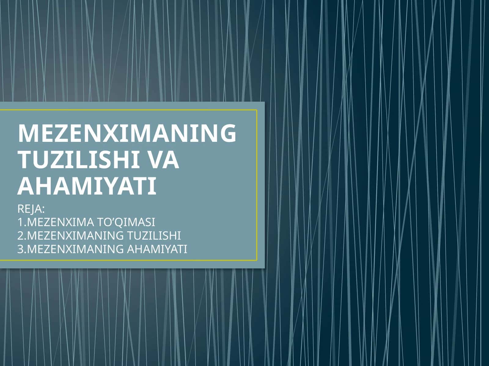 MEZENXIMANING TUZILISHI VA AHAMIYATI 1