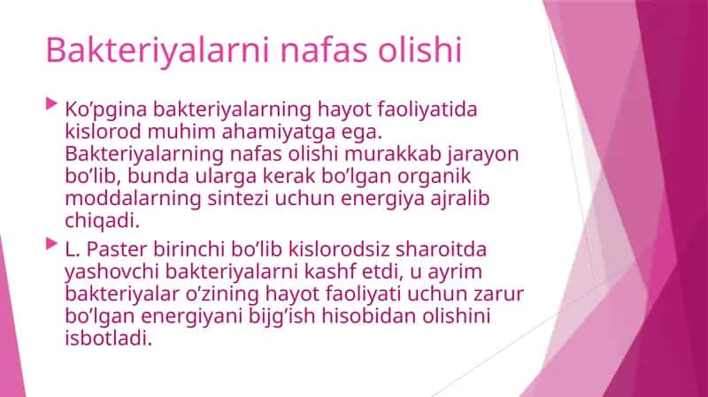 Bakteriyalarni nafas olishi 1