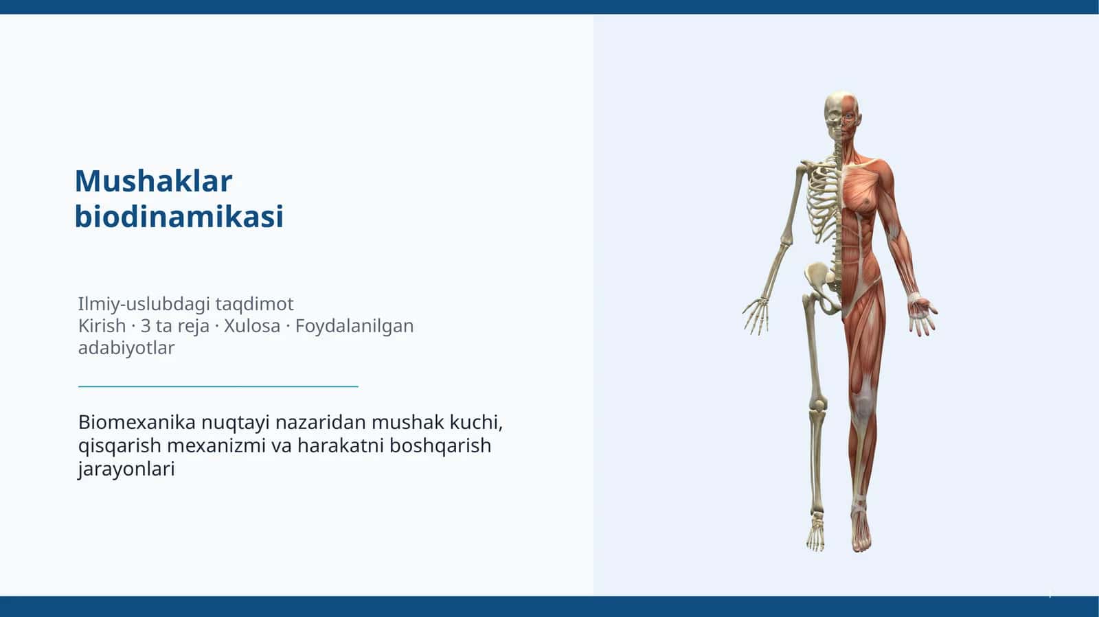 Mushaklar 1