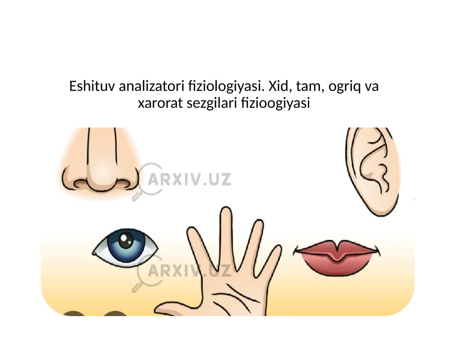 Eshituvanalizatorifiziologiyasi 1