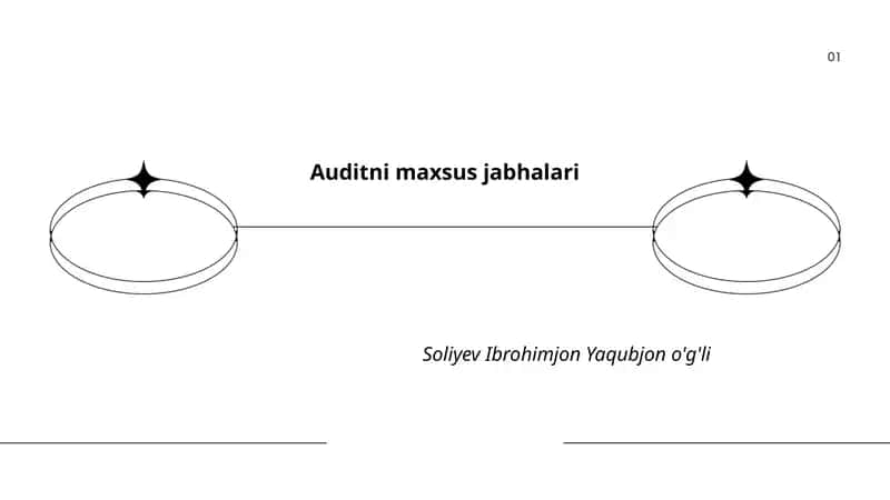 Moliyaviy auditning maxsus jabhalari 1