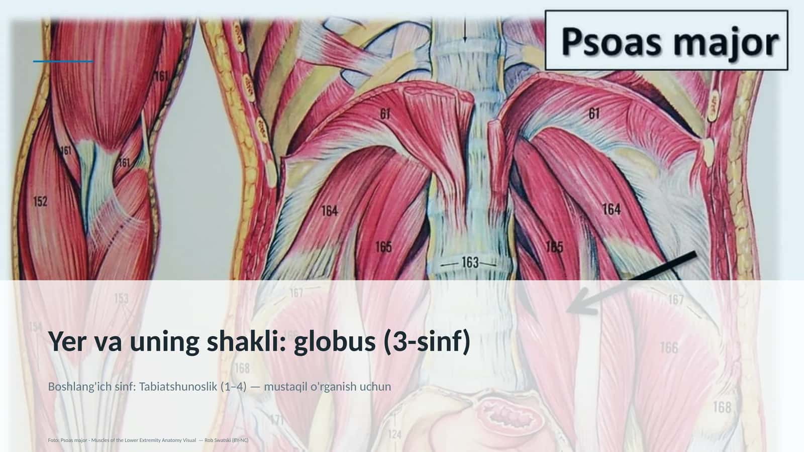globus (3-sinf) 1