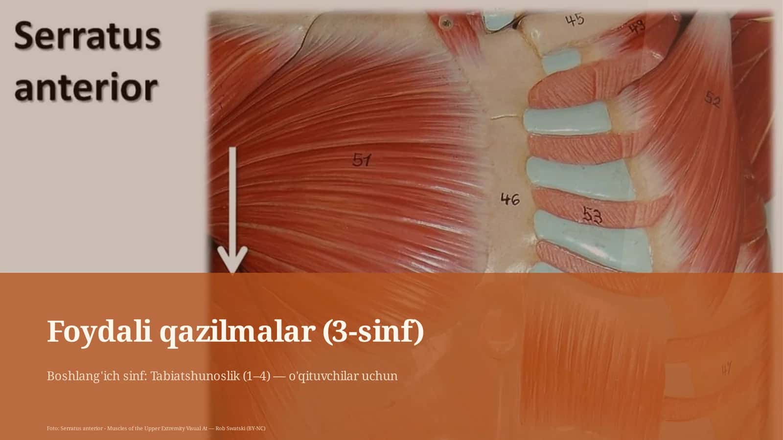 Foydali qazilmalar (3-sinf) 1