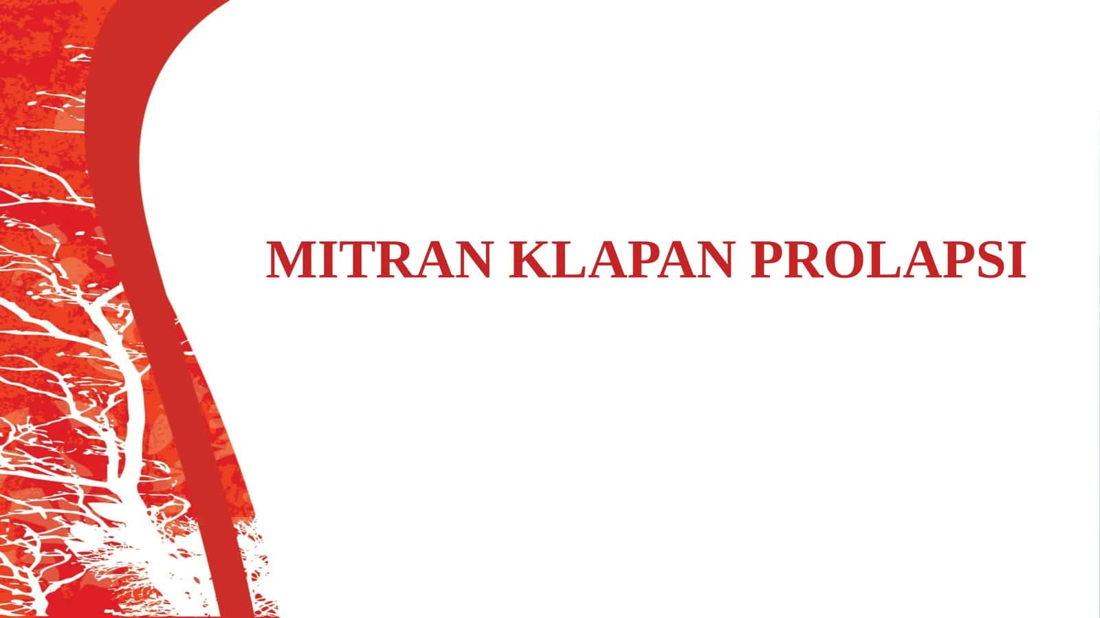 MITRAN KLAPAN PROLAPSI 1