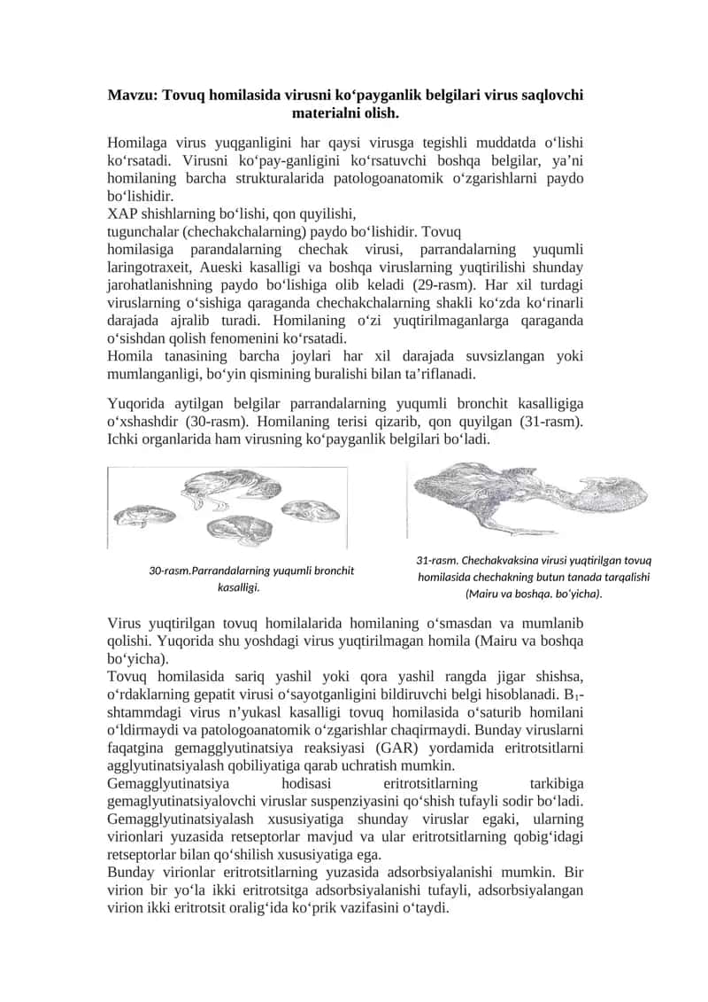 Tovuq homilasida virusni ko‘payganlik belgilari virus saqlovchi materialni olish 1