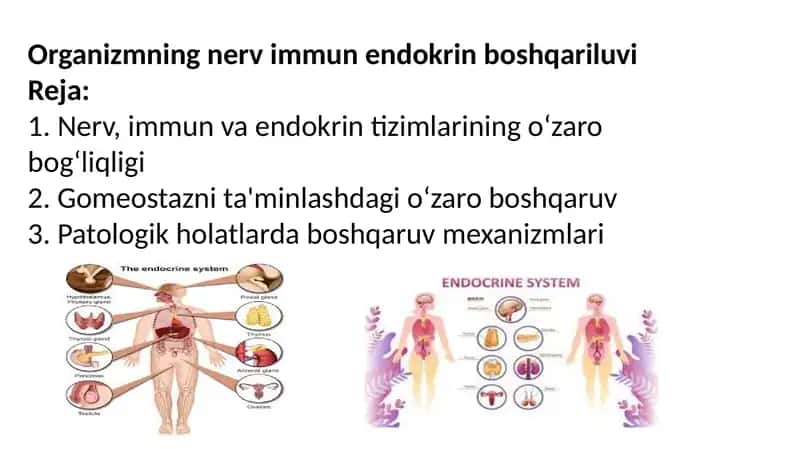 Organizmning nerv immun endokrin boshqariluvi 1