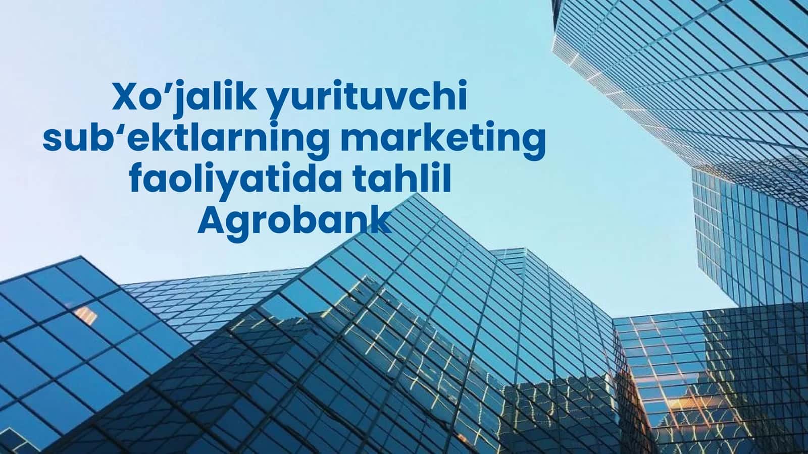 Xo’jalik yurituvchi sub‘ektlarning marketing faoliyatida tahlil  Agrobank 1