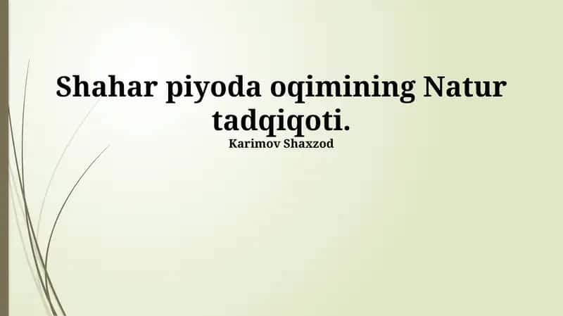 Shahar piyoda oqimining Natur tadqiqoti 1