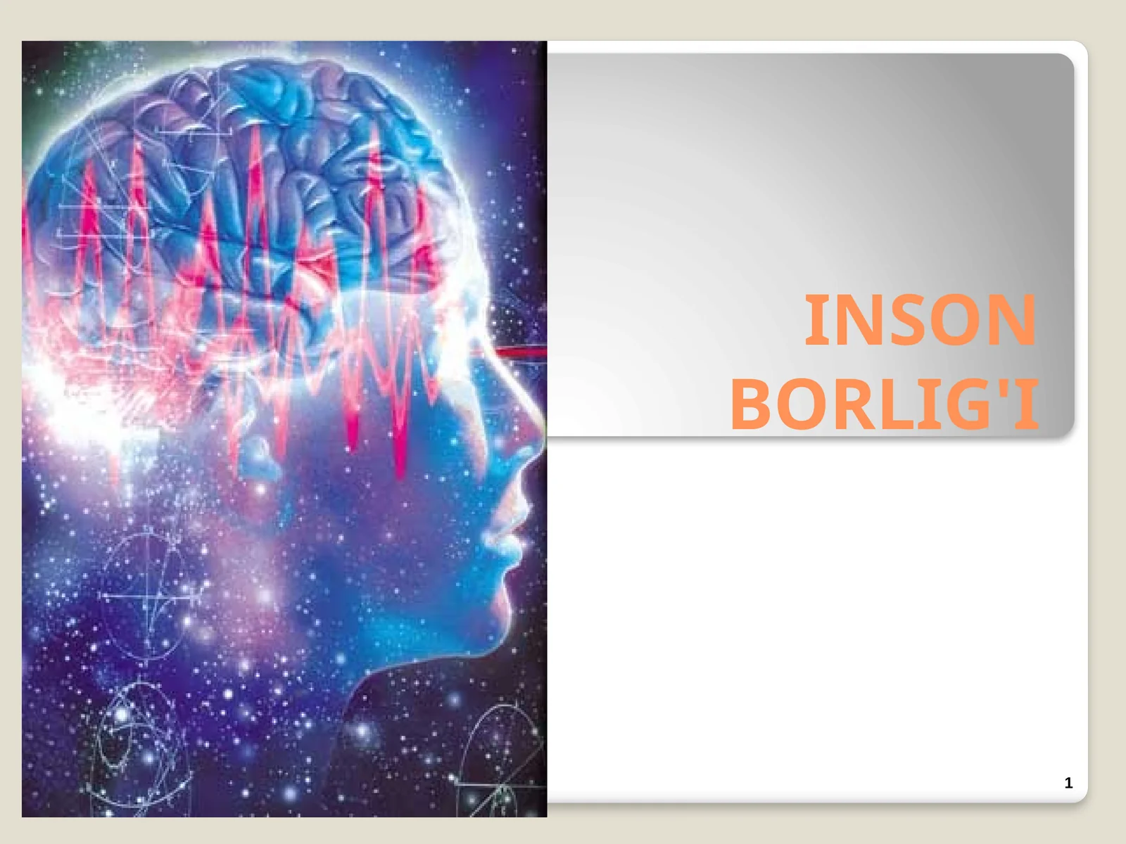 INSON BORLIG'I 1