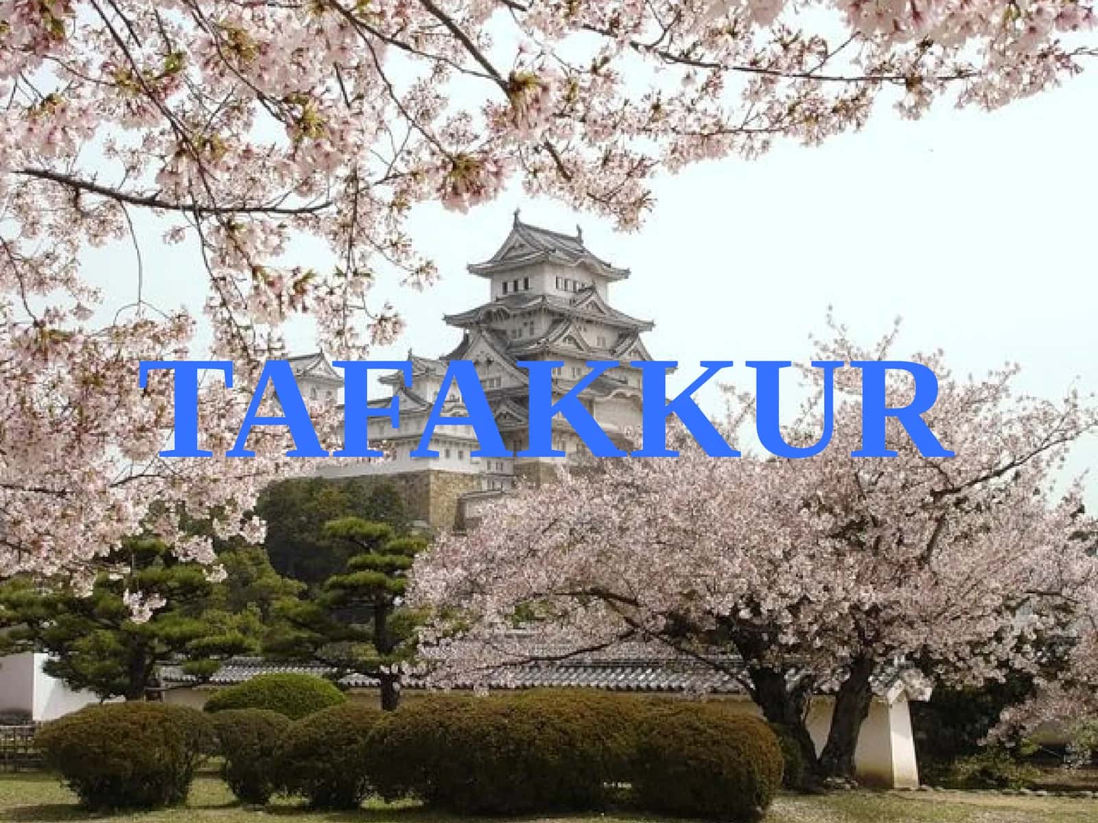 Tafakkur 1