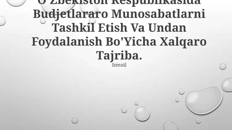 Byudjetlararo Munosabatlarni Tashkil Etish Va Undan Foydalanish Bo'Yicha Xalqaro Tajriba 1